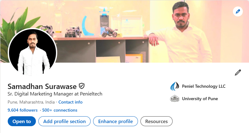 SEO Consultant